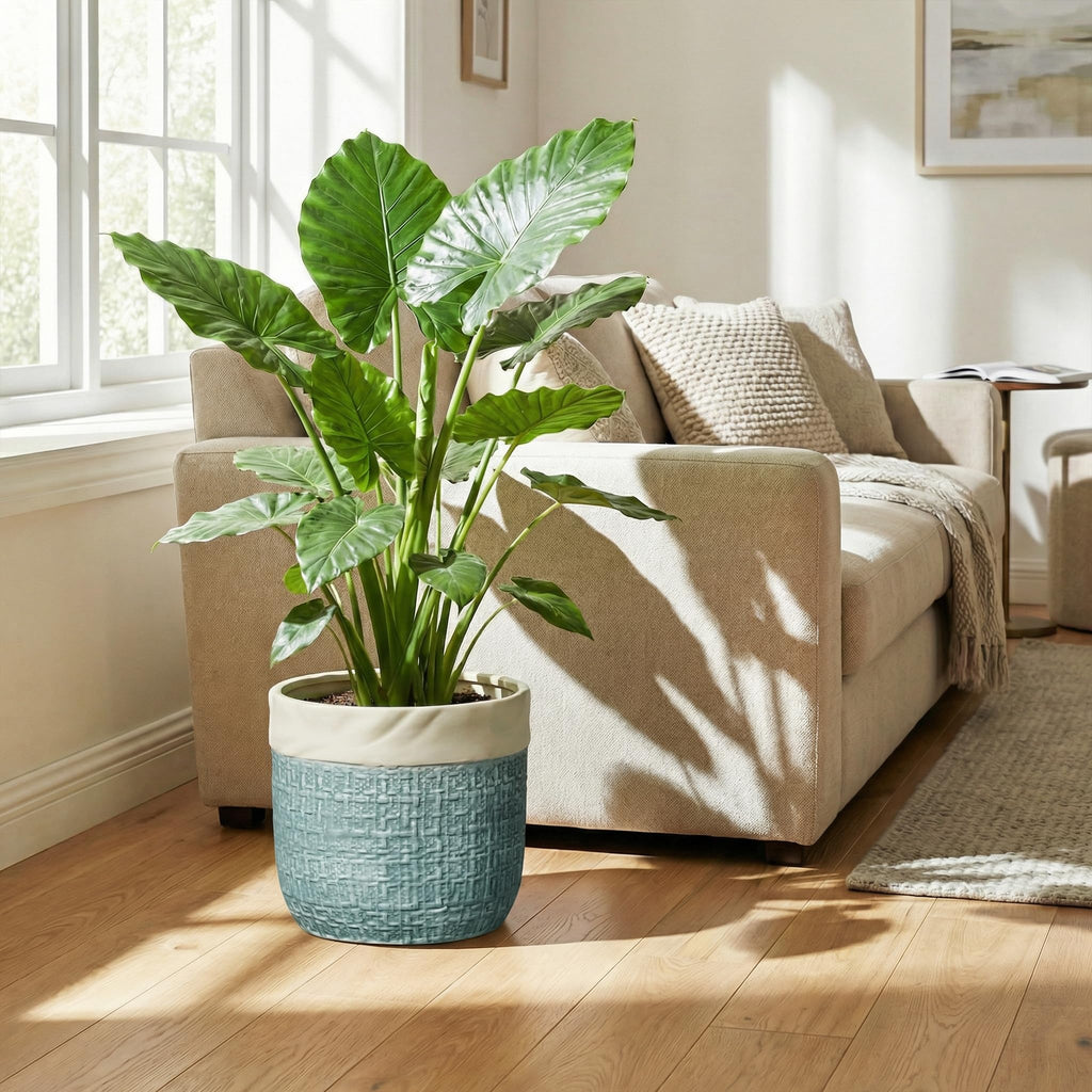 9.8 Inch Plant Pot - Ceramic Pots for Plants with Drainage Hole, Boho Plant Pots for Indoor Outdoor Plants
