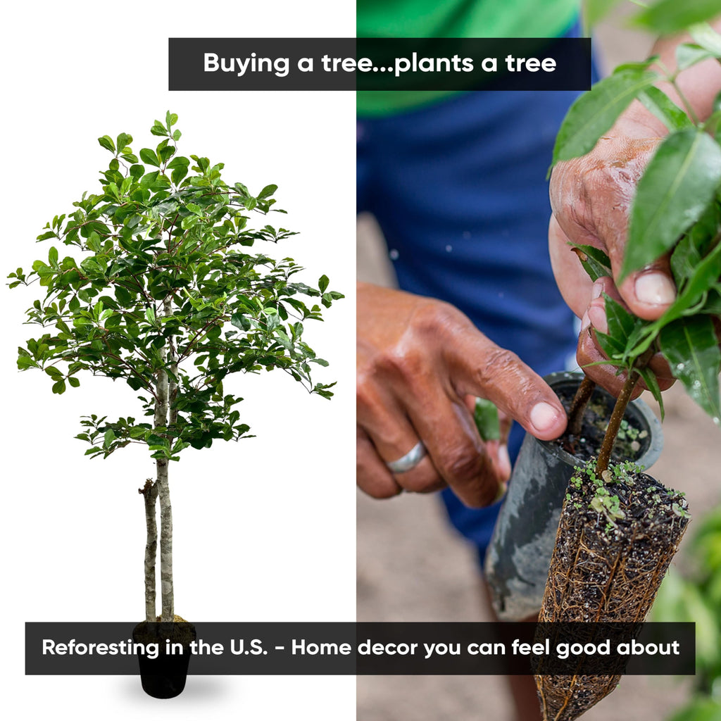 Handmade 5ft Italian Black Olive Artificial Tree with Ethically Sourced Real Wood Trunks, Hypoallergenic, 5-Foot