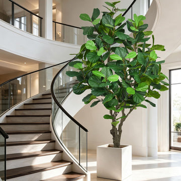 Fiddle Leaf Fig Tree 8FT - Large Fake Tree with 260 Fiddle Leaves, 96" Tall Faux Ficus Lyrata Tree Floor Plants in