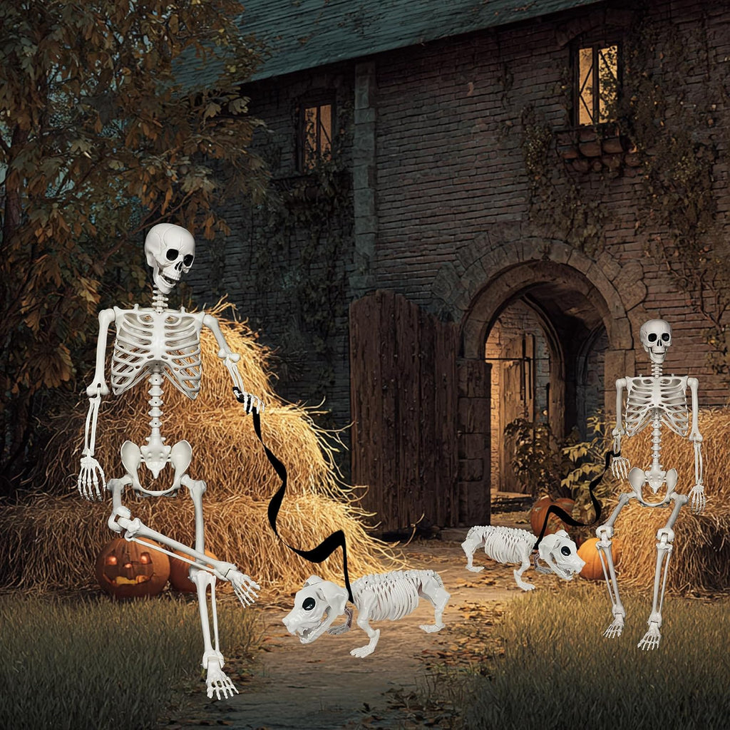 5.4FT Halloween Skeletons Decoration, Posable Life Full Size Skeleton with Dog Skeleton, Realistic Plastic Human - Set of 3