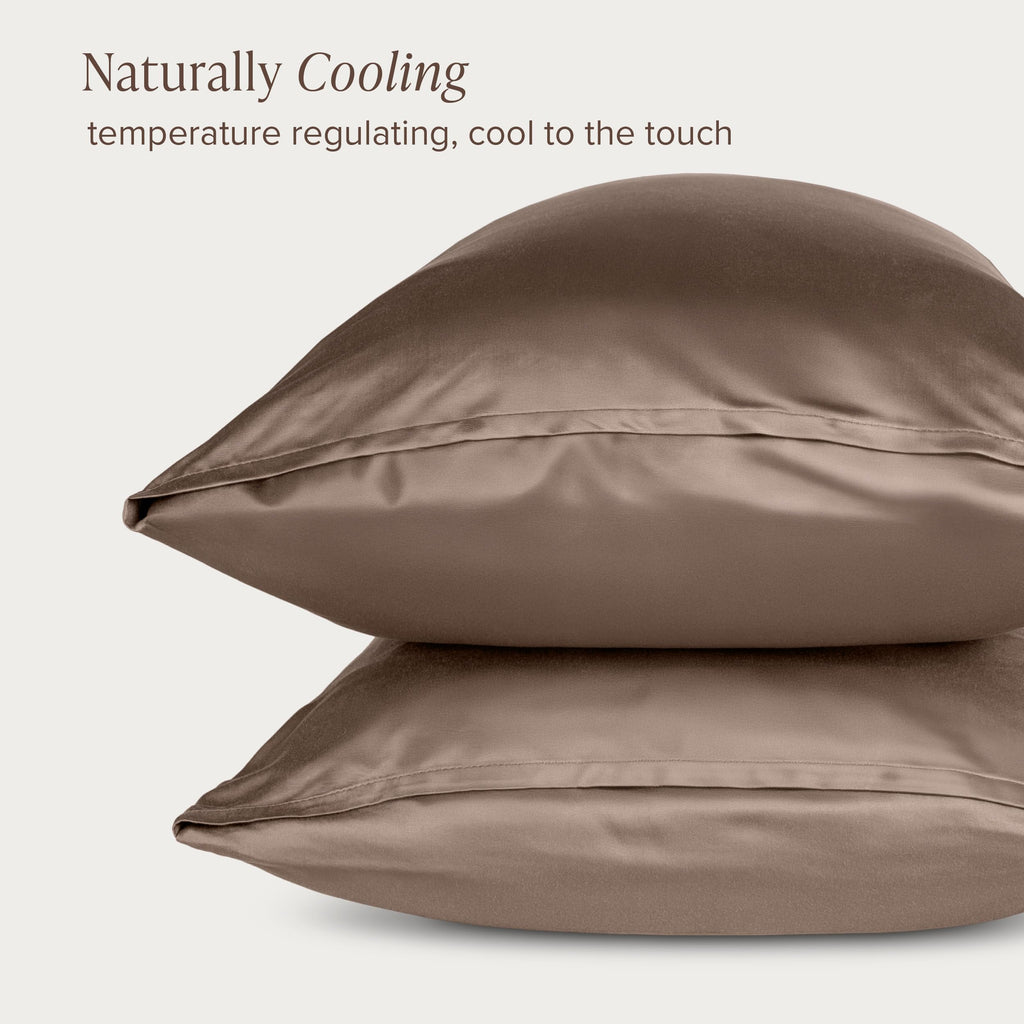 100% Rayon Made from Bamboo Pillowcase Set (King, Taupe)