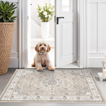 Washable 2x3 Entryway Area Rug - Neutral Kitchen Rug Runner Vintage Soft Floor Mat Non Slip Indoor Farmhouse Carpet