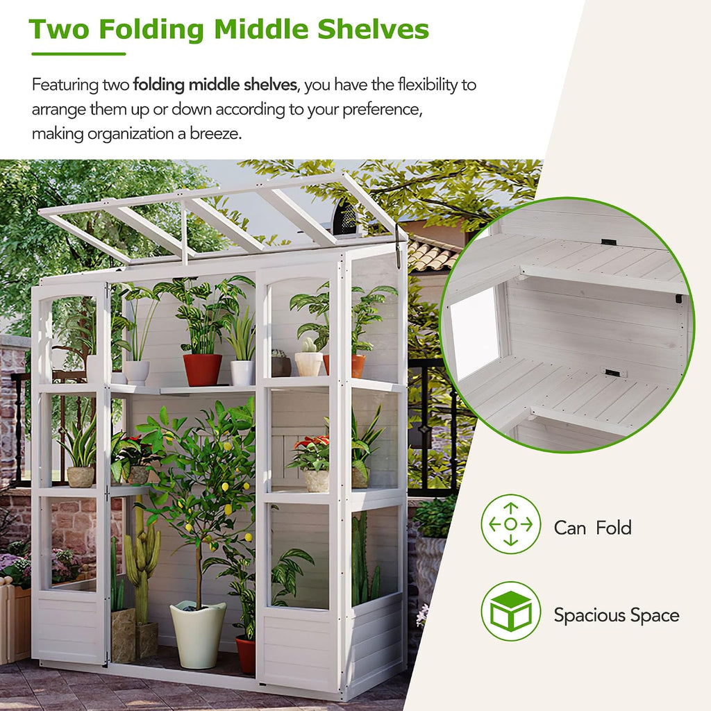 78-inch Wooden Greenhouse Cold Frame with 4 Independent Skylights and 2 Folding Middle Shelves, Walk-in Outdoor