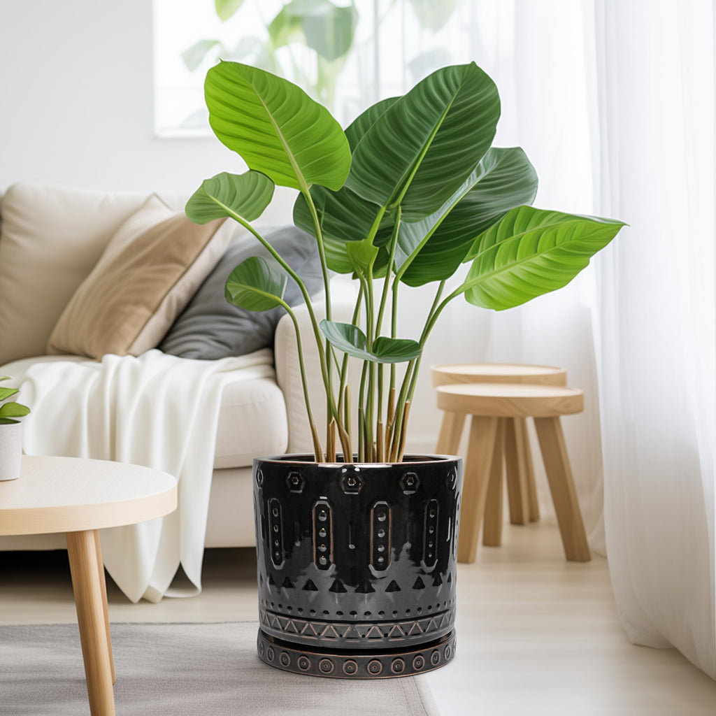 Ceramic Planter for Indoor Plants - 10 Inch Plant Pots with Drainage Hole and Saucer, Round Decorative Flower Pots