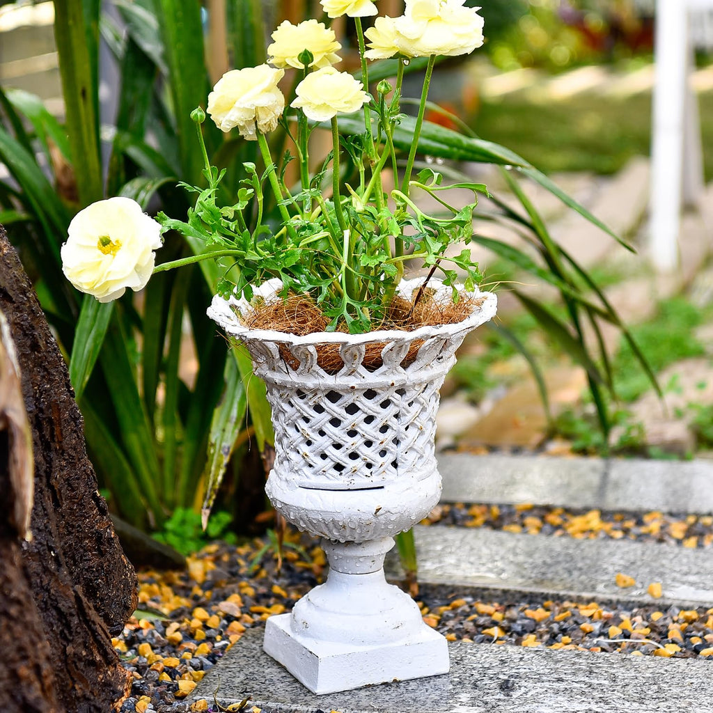 Cast Iron White Urn Planter - 10 Inches Hollow Trophy-Shaped Design