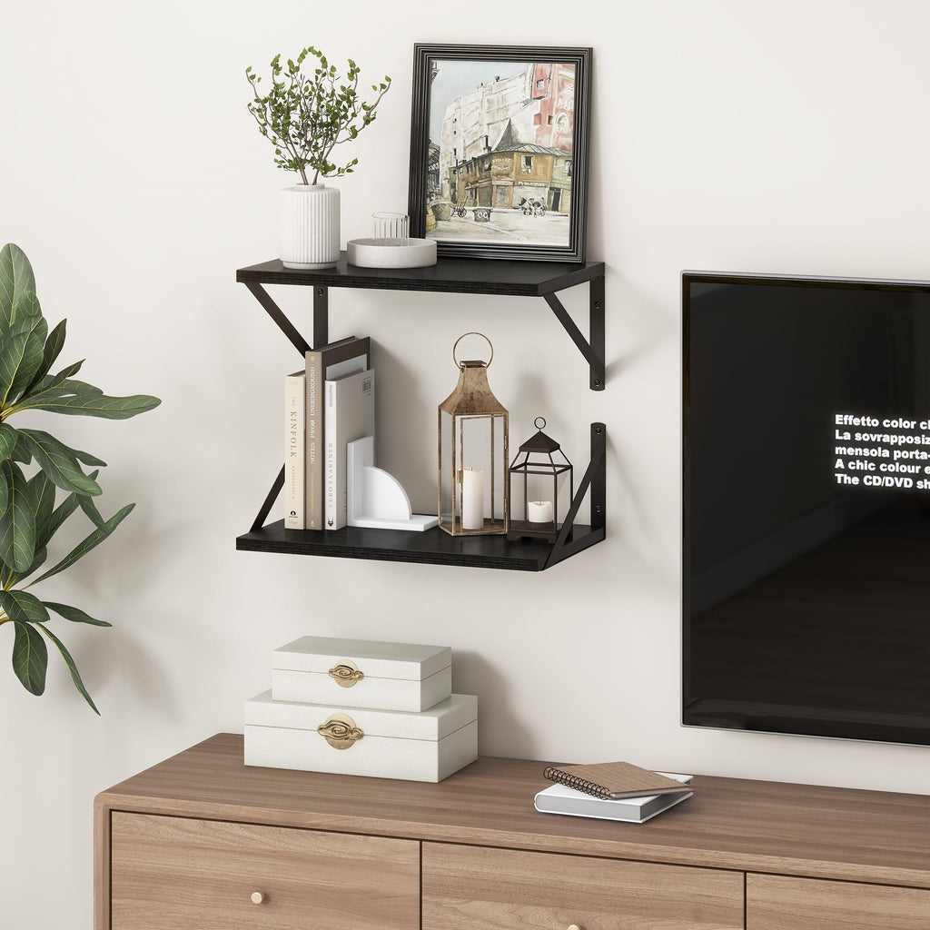 10 Inch Deep Floating Shelves, Black Floating Shelf 16 Inch Long, 16" W x 10" D Wall Shelves Set of 2, Deep Shelves