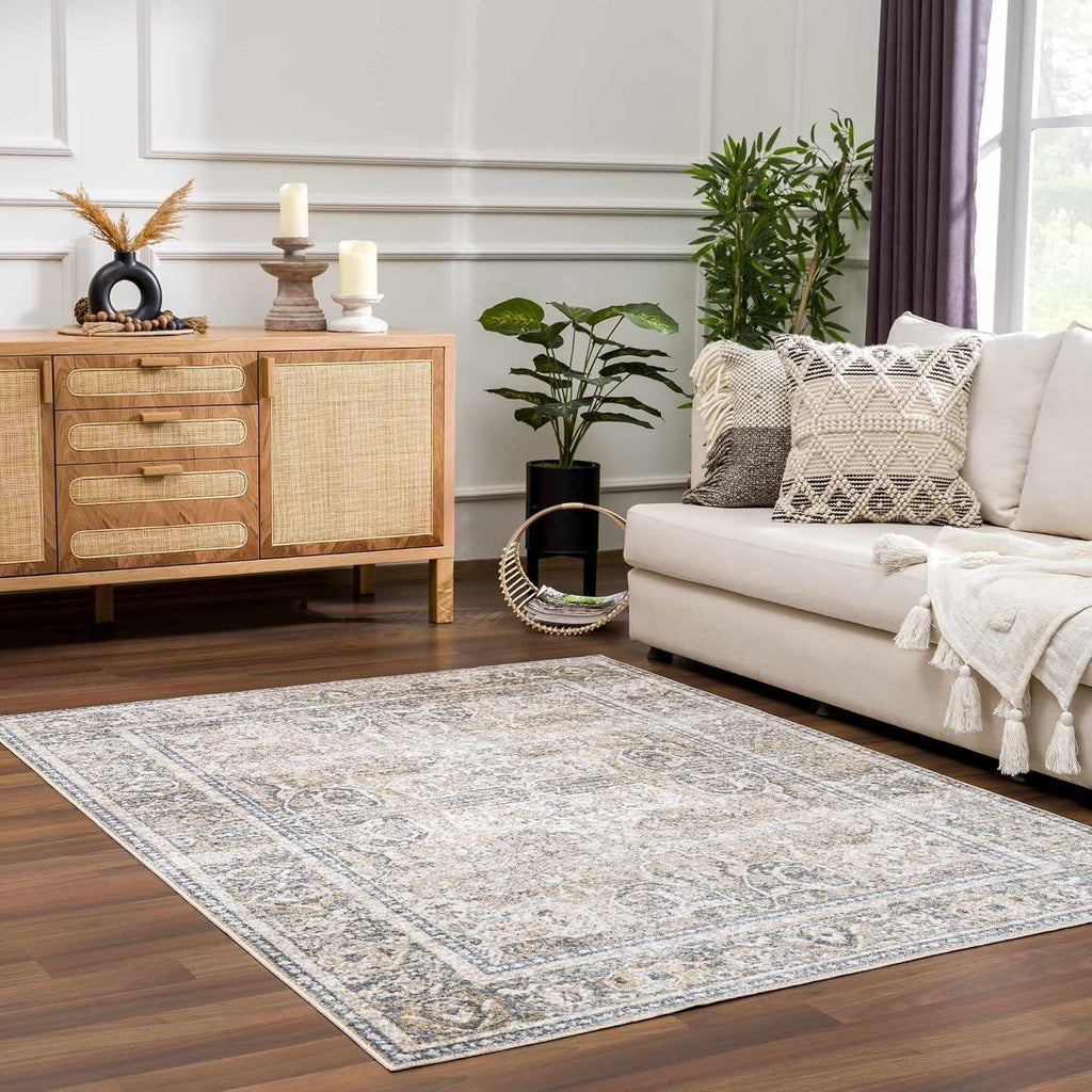 Arias Machine Washable Farmhouse Traditional Medallion Area Rug - Bohemain Vintage Distressed Bordered Carpet