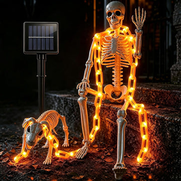 3Ft Skeleton & Dog Skeleton with Light Chain, Outdoor Halloween Decorations