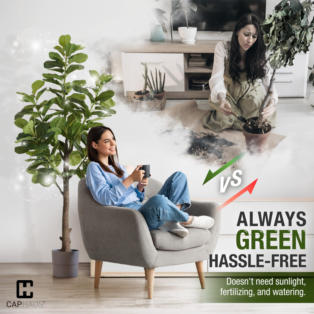 Artificial Fiddle Leaf Fig Tree, 6/7 Feet in Pot with Dried Moss, for Indoor House Home Office Store, Potted Ficus