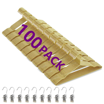 Metal Wire Hangers 100 Pack, Metal Coat Hangers with 10 Clips