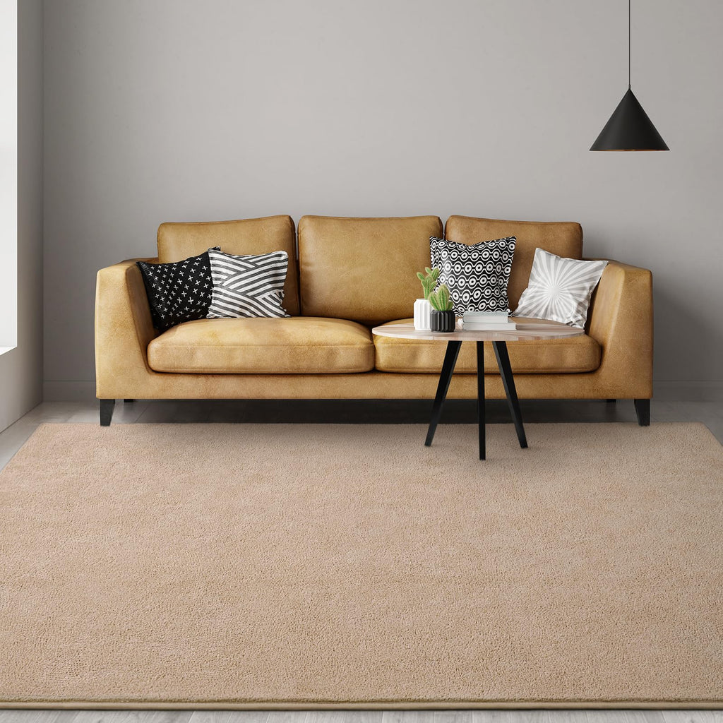 Large Modern Area Rugs Bedroom, Beige