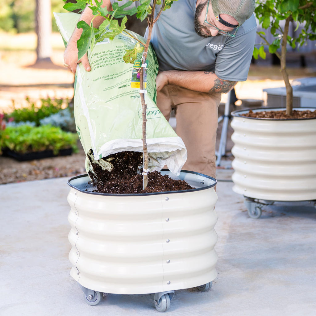 Rolling Metal Citrus Tree Planter Pot, 21′′ Round Planter Box for Porch Patio & Backyard, 20 Gallon Large Planter Pot