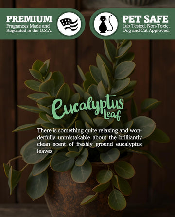 Eucalyptus Leaf Scented Natural 3 Wick Candle, Essential Fragrance Oils, 100% Soy, Phthalate & Paraben Free, Clean - Set of 15