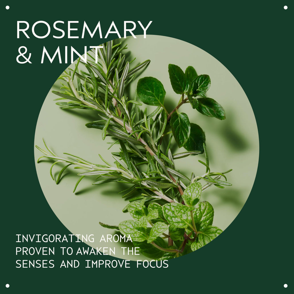 Rosemary Mint Vegan Soy Wax Candle | Invigorating Aroma of Certified Organic Peppermint, Spearmint, Rosemary | 100%