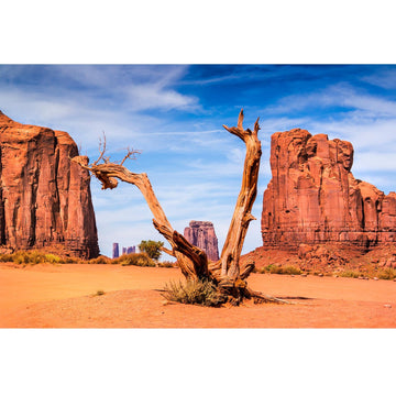 Reptile Habitat Background Desert Clear Blue Sky Backdrop Sandstone Rock Mountain Scenery Terrarium Background