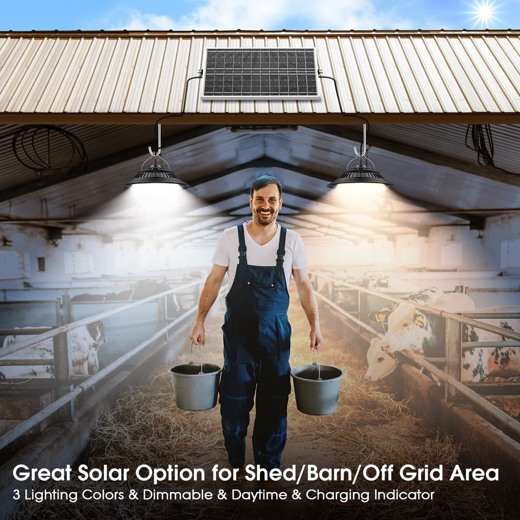 Solar Shed Pendant Light, IP65 Day/Night Dual Head for Barn Gazebo