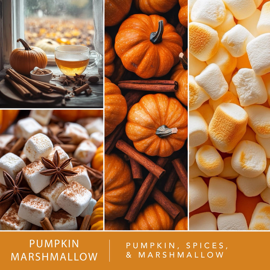 Fall Wax Melts Pumpkin Party 4pk - Long Lasting, Strong Scent Melts for Warmers, Includes Pumpkin Spice with Apple