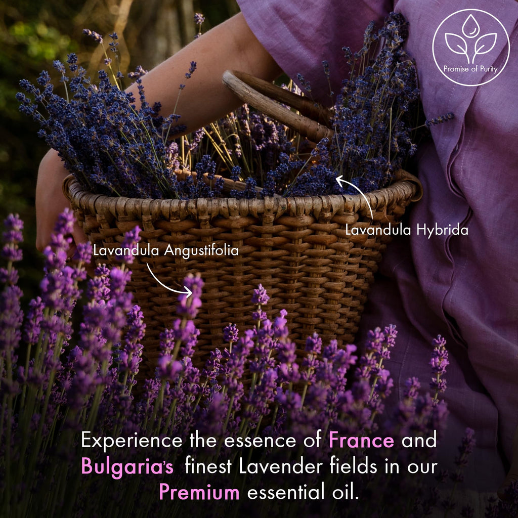 Lavender Essential Oil for Diffuser - 4 Fl Oz (Pack of 2)