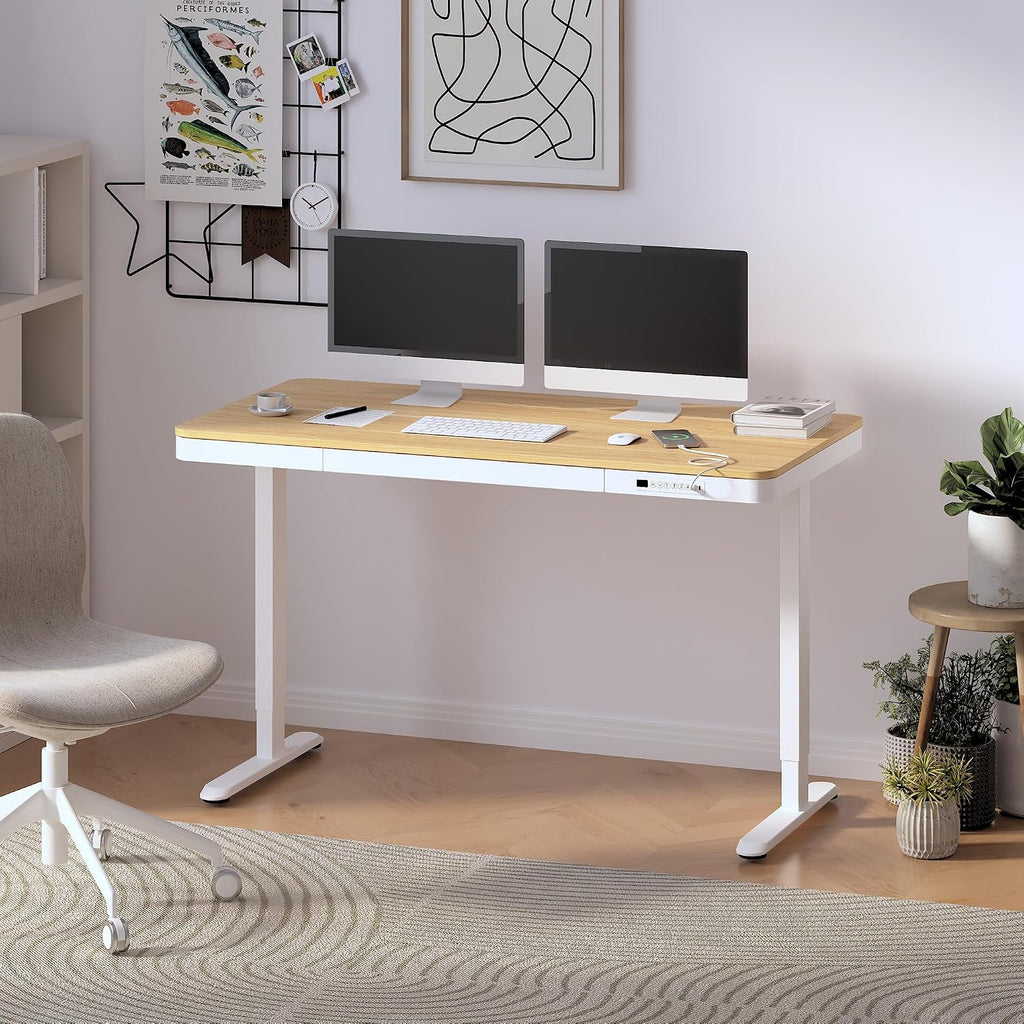 Comhar 55" Electric Standing Desk with Drawers, USB Charging Ports, Quick Assembly, Height Adjustable Sit Stand