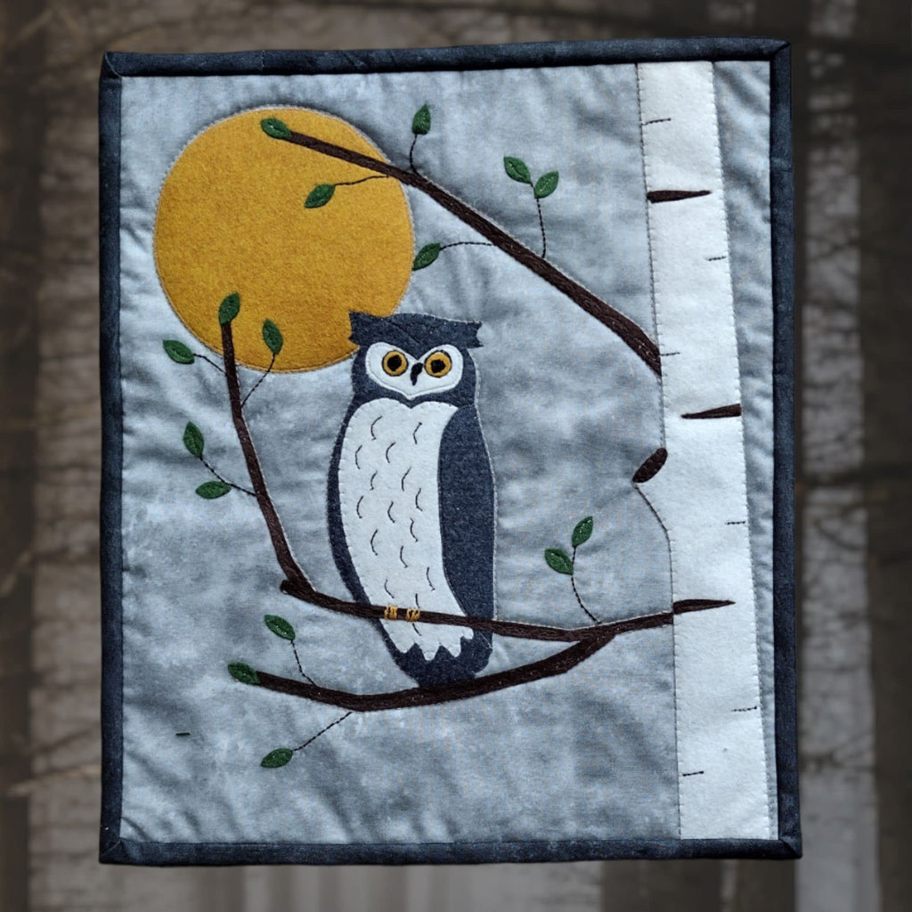Night Owl Felt Kit, Wall Quilt Hanging, Quilting Kits with Fabric, 13" x 15", Materials and Instructions Included