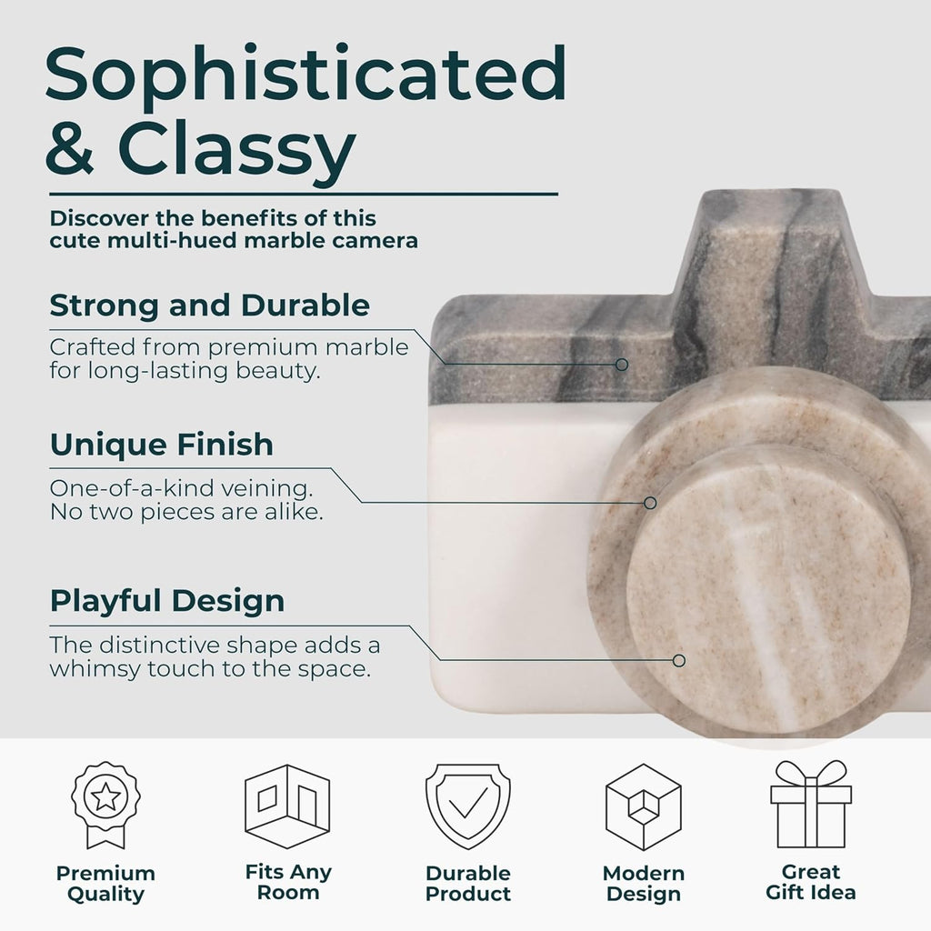 5-Inch Multi Marble Camera Decorative Object
