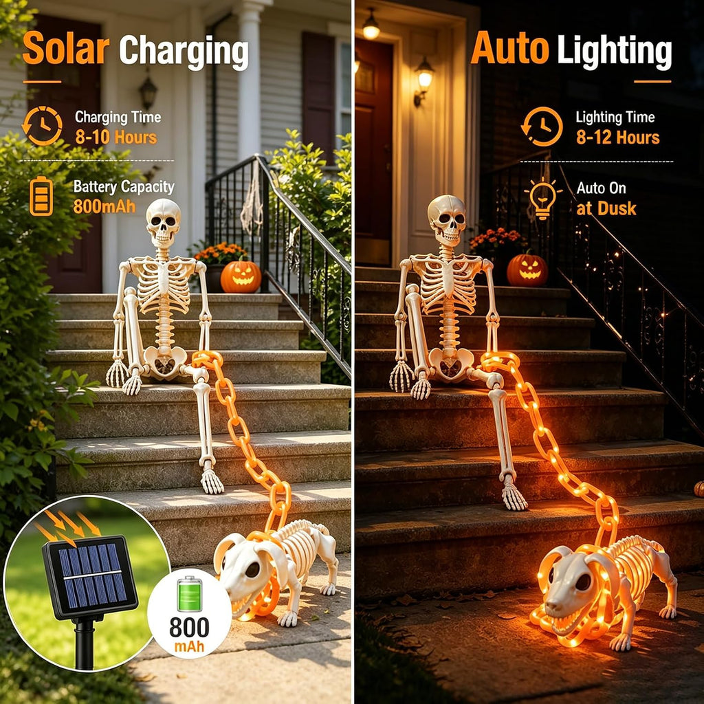3Ft Skeleton & Dog Skeleton with Light Chain, Outdoor Halloween Decorations