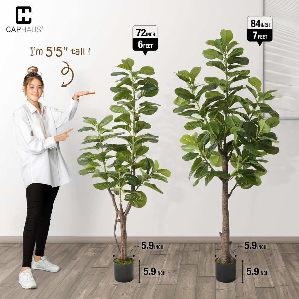 Artificial Fiddle Leaf Fig Tree, 6/7 Feet in Pot with Dried Moss, for Indoor House Home Office Store, Potted Ficus