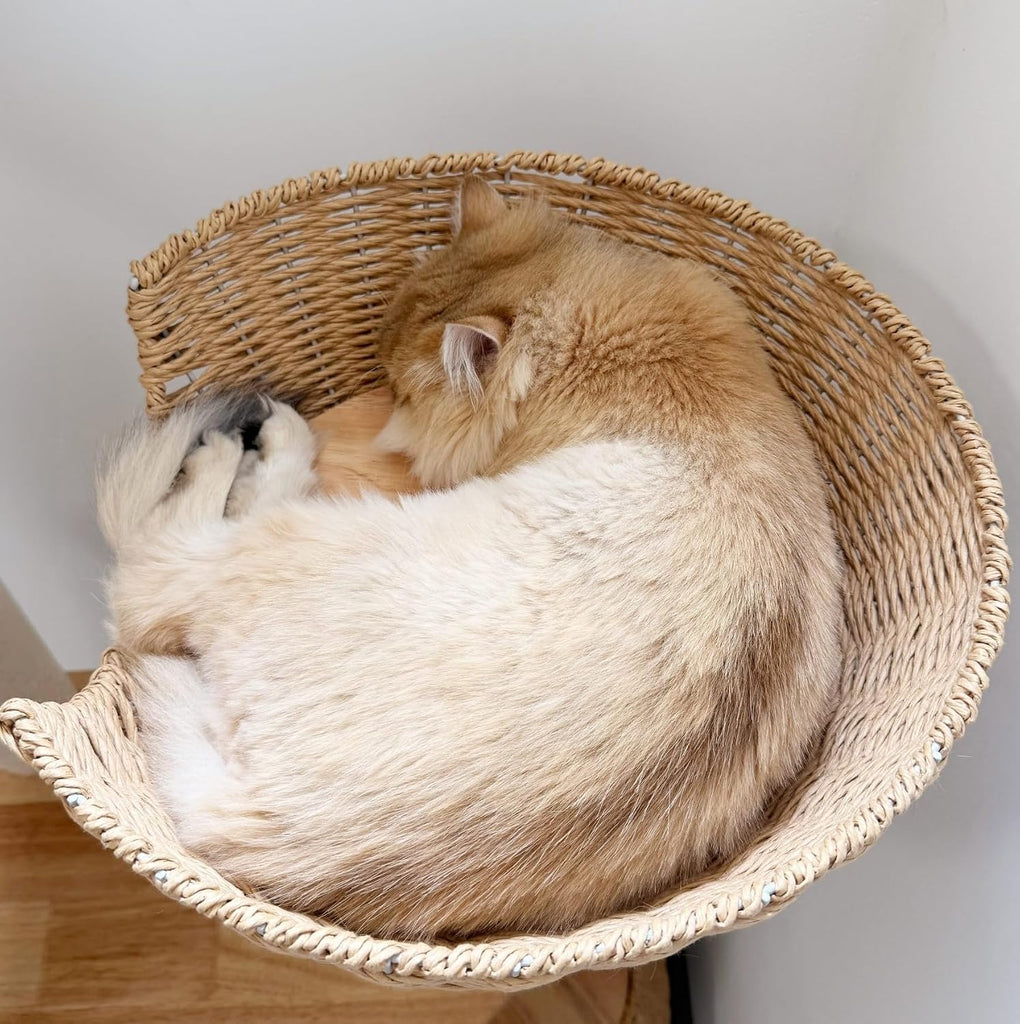 54in Wooden Cat Tree for Large Indoor Cats, Modern Tall Cat Tower