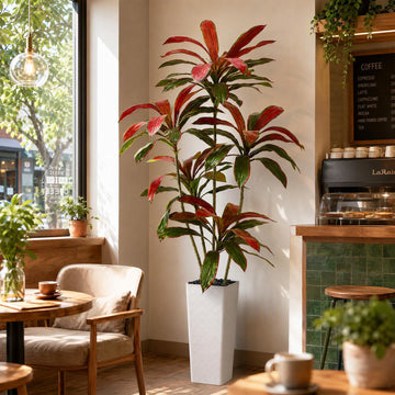 Artificial Red Dracaena Tree 7FT -White Pot, Tall Fake Plants Indoor