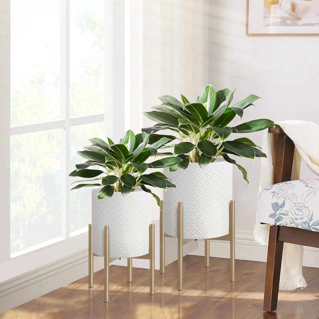Modern Planters for Indoor Plants Set of 2 Planter with Stand