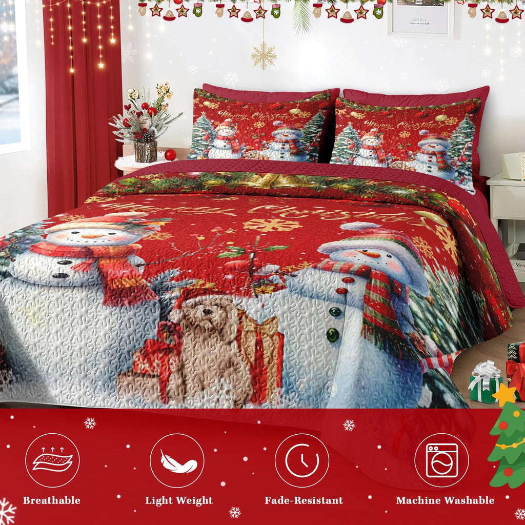 King Christmas Quilt Set, 3 Piece Snowflake Bedding, Bedspreads