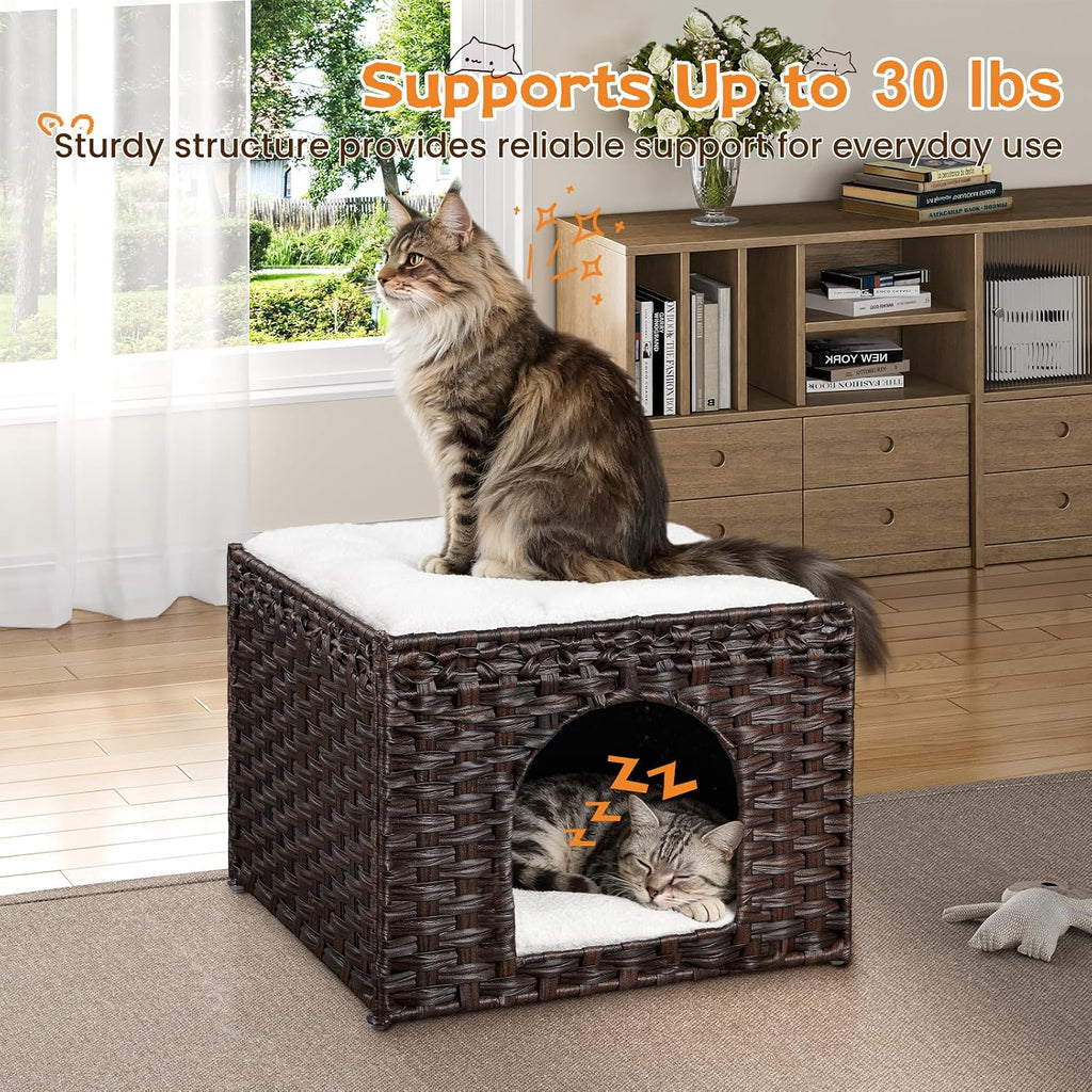 Handwoven Rattan Cat House - Indoor Foldable Cat Bed Cave with 2 Removable Bed Mats, Large Kitten House, Hideaway Pet