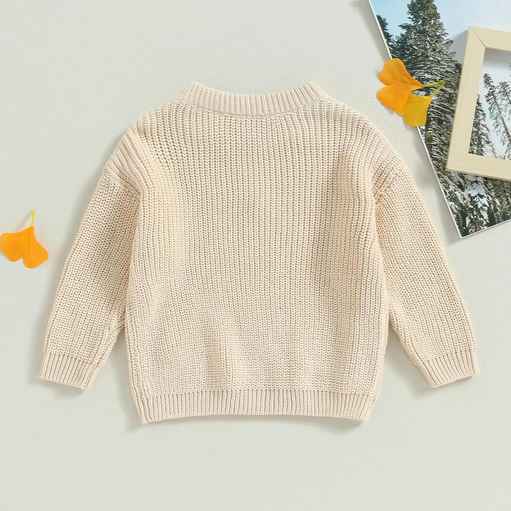 Baby Girl Winter Clothes Cute Flower Sweater Crewneck Pullover Long Sleeve Knit Newborn Infant Sweaters