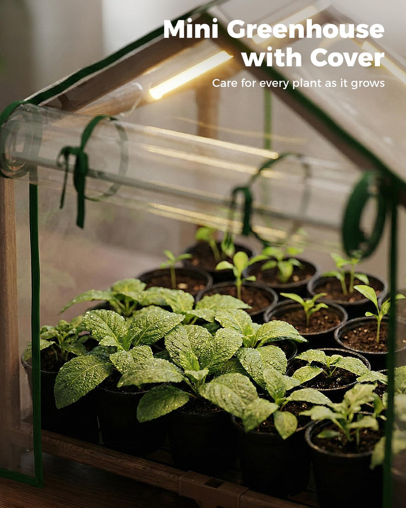 Mini Greenhouse Indoor Desktop with Lights