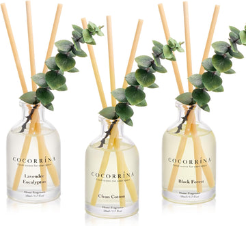Reed Diffuser with Dried Eucalyptus - Set of 3