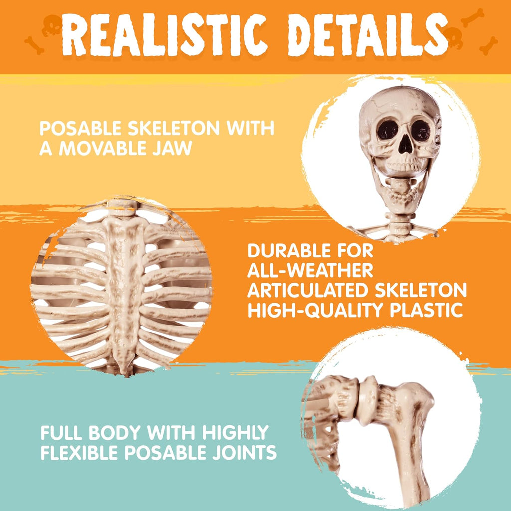 5.6 FT Halloween Posable Life Size Skeleton, Full Body Realistic Bones with Movable Joints, Giant Skeletons Halloween
