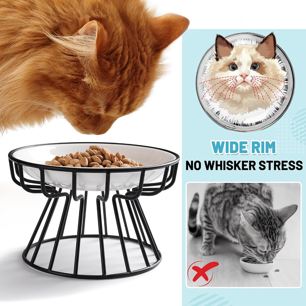 Cat Bowls, Elevated Cat Bowl, Raised Ceramic Dish with Metal Stand, Pet Water or Food Feeding Station for Indoor