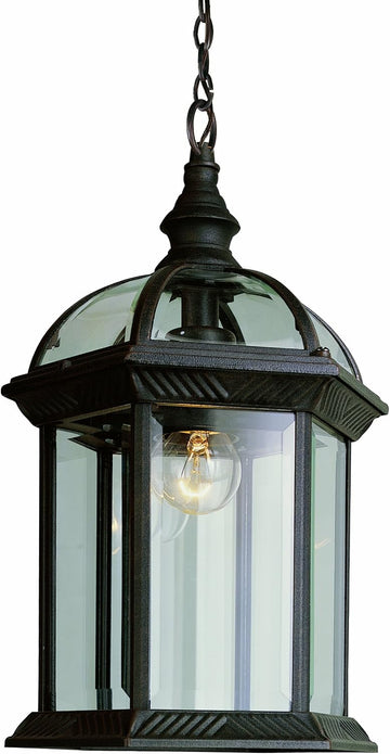 RT Wentworth Collection One Light Outdoor Hanging Lantern I in a Rust Finish I Traditional Style Light Fixture I