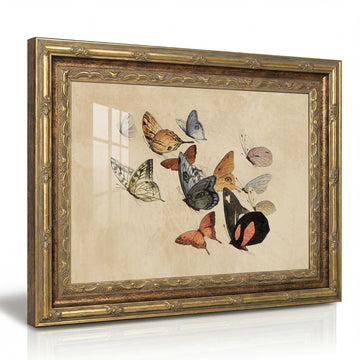 Vintage Gold Framed Wall Art, Vintage Butterfly Prints, 12x16Inch