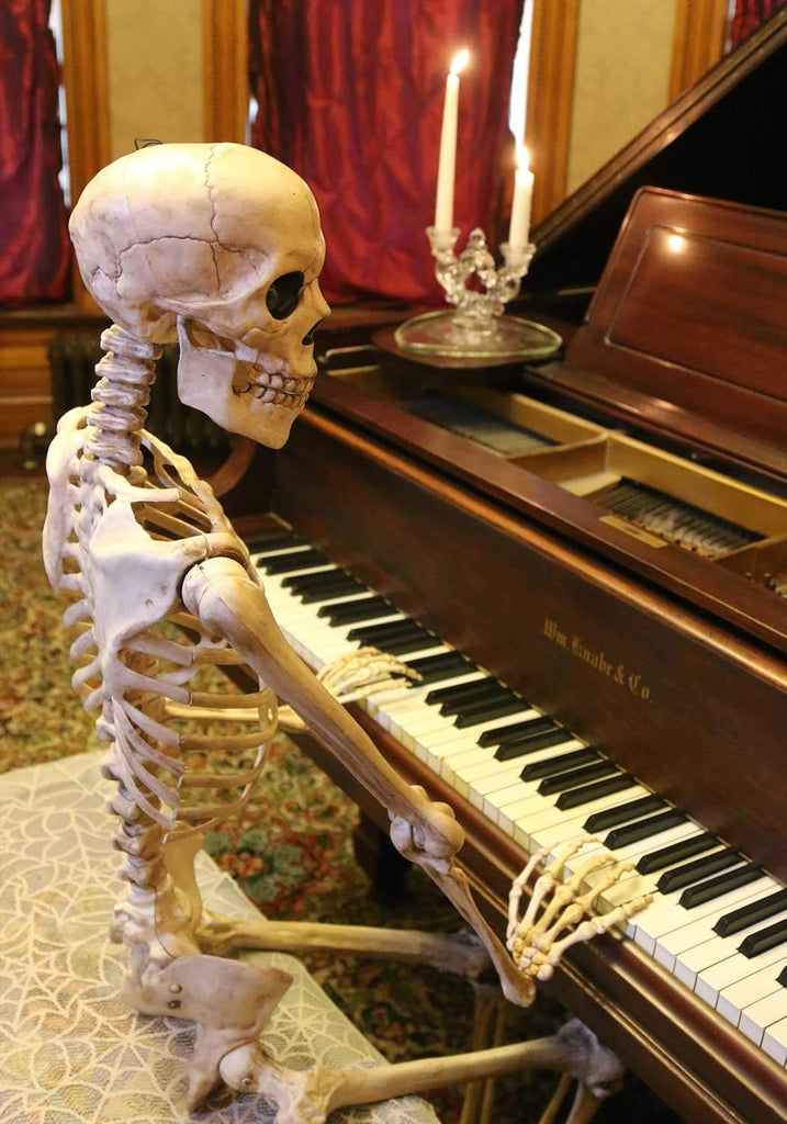 Original Pose-N-Stay Halloween Skeleton, 5 FT - Life-Size
