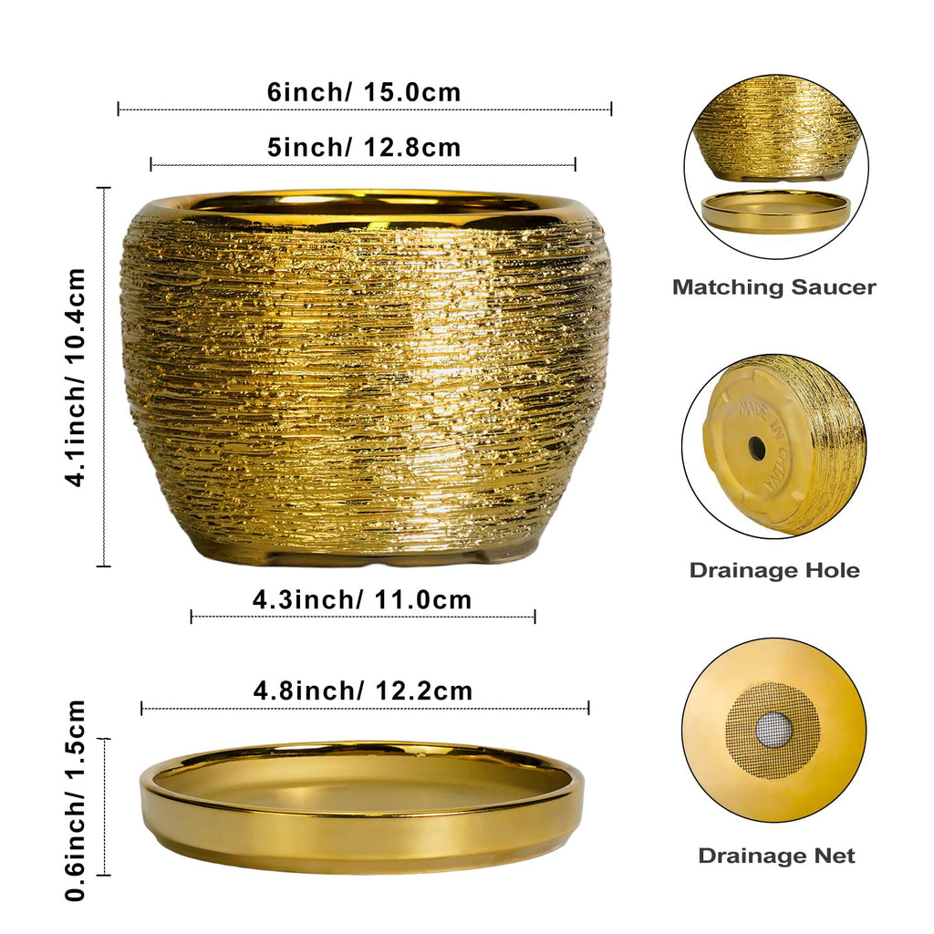 Ceramic Planter - 6 Inch Plant Pot Indoor Outdoor, Modern Round Planter with Drainage Hole and Plant Saucer