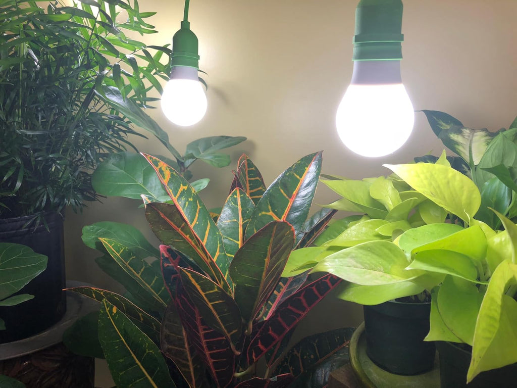 S Full Spectrum Absolute Daylight Grow Light Bulbs (4-Pack)