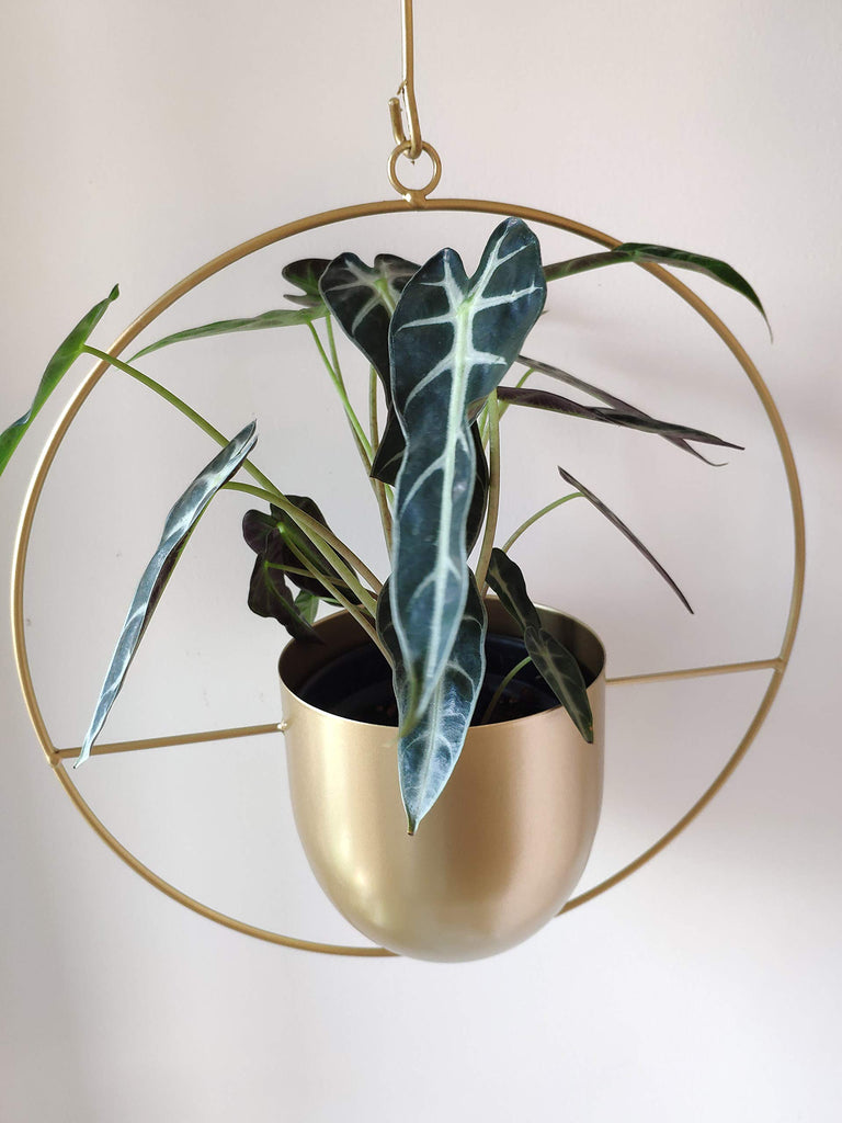Boho Metal Plant Hanger, Metal Round Hanging Planter, Modern Planter, Mid Century Plant Holder, Minimalist Planter for