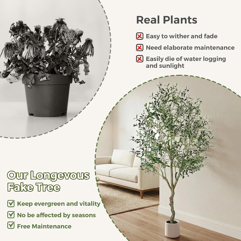 Artificial Olive Tree Indoor 6FT, Tall Faux Olive Tree with White Planter