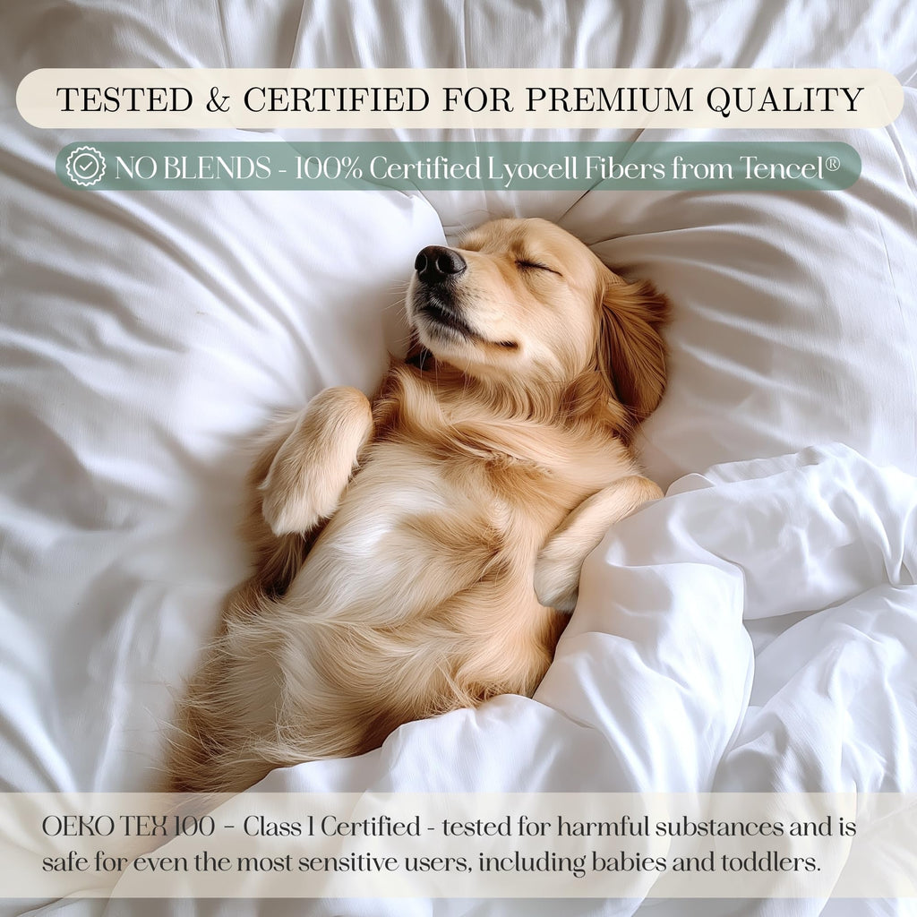 Eucalyptus Sheets, Softer Than Silk Fibers, Sheet Set