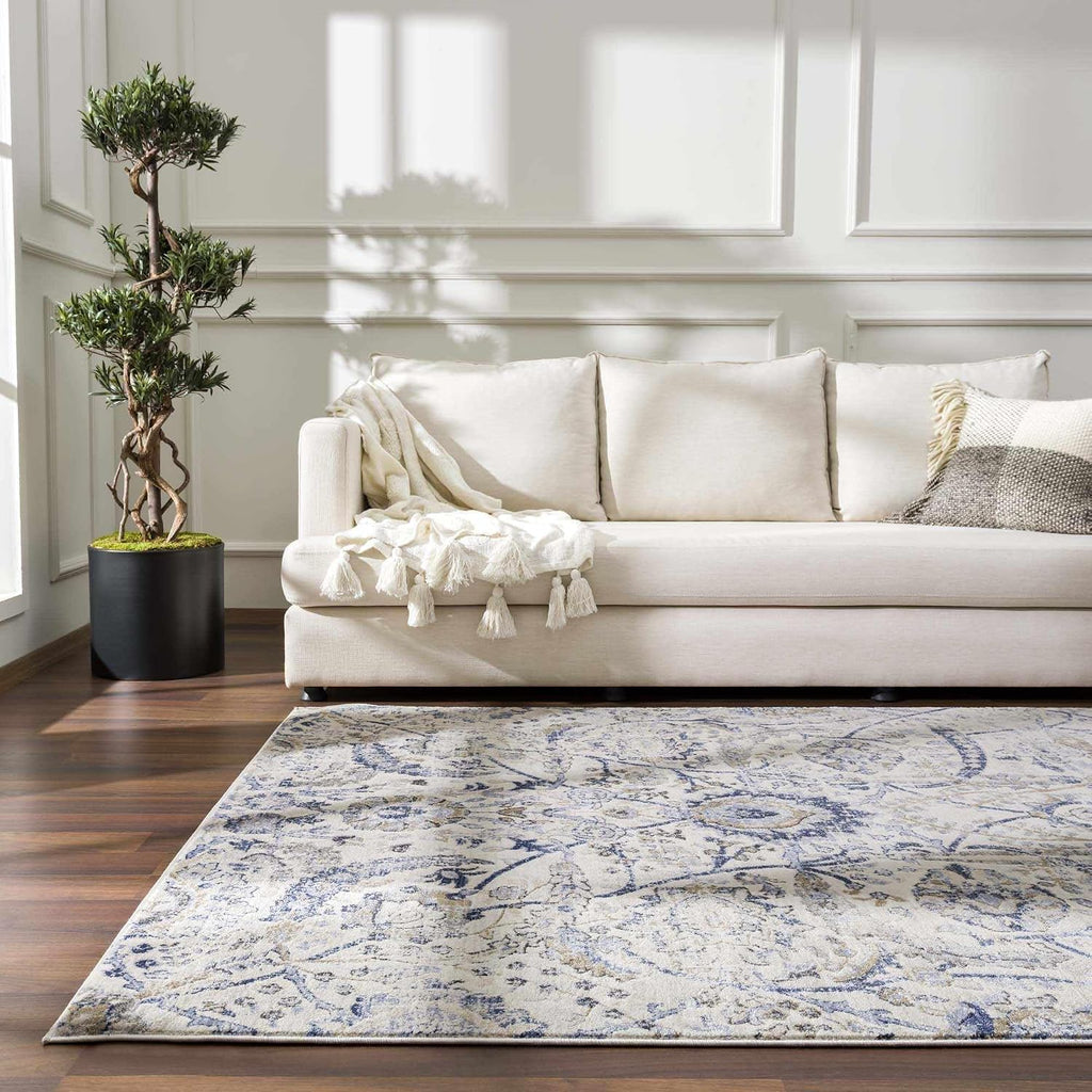 Obsidian Boho Vintage Traditional Damask Area Rug - Farmhouse Traditional Floral Medallion Carpet - Grey, Beige
