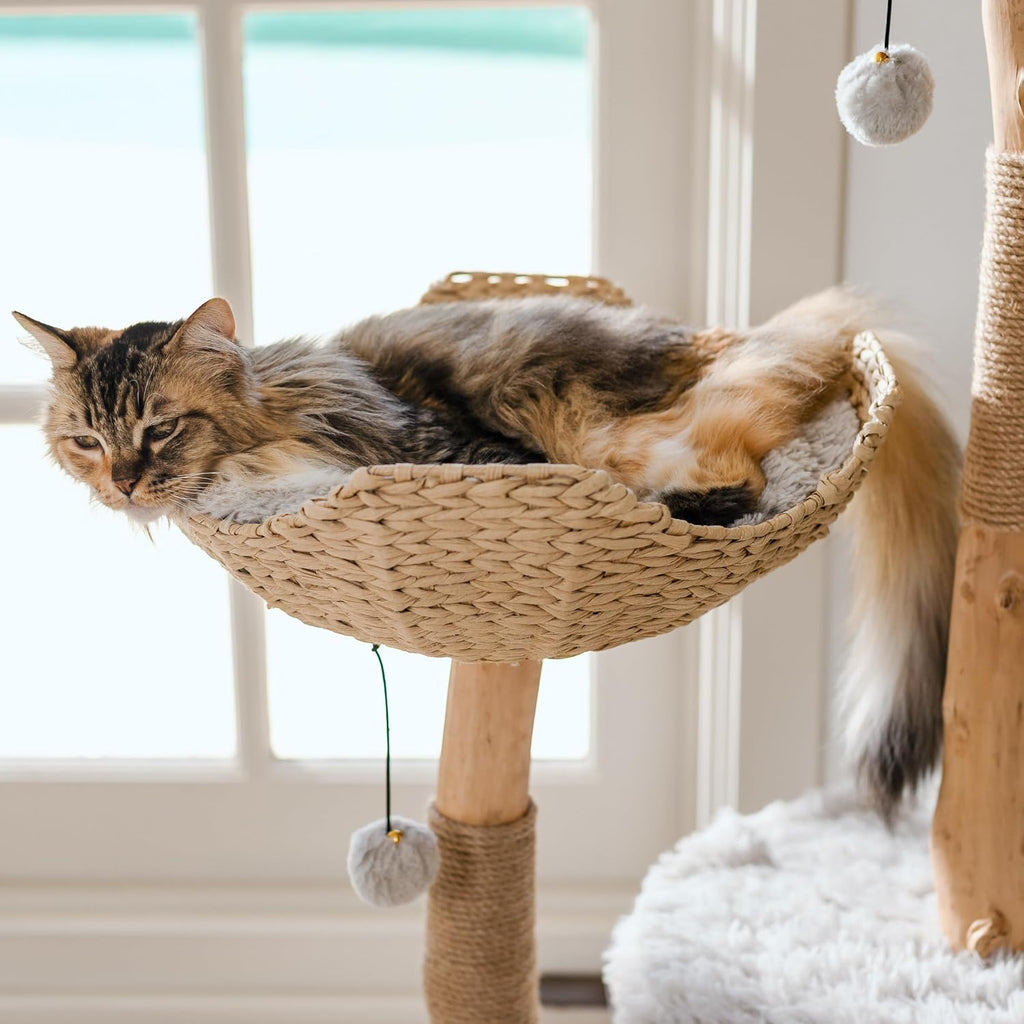 Modern Cat Tree Tower, Real Branch Wood Condo for Large Cats
