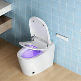 Smart Toilet with Bidet Built in, Bidet Toilet with Heated Seat and Night Light, One Piece Toilet for Bathroom