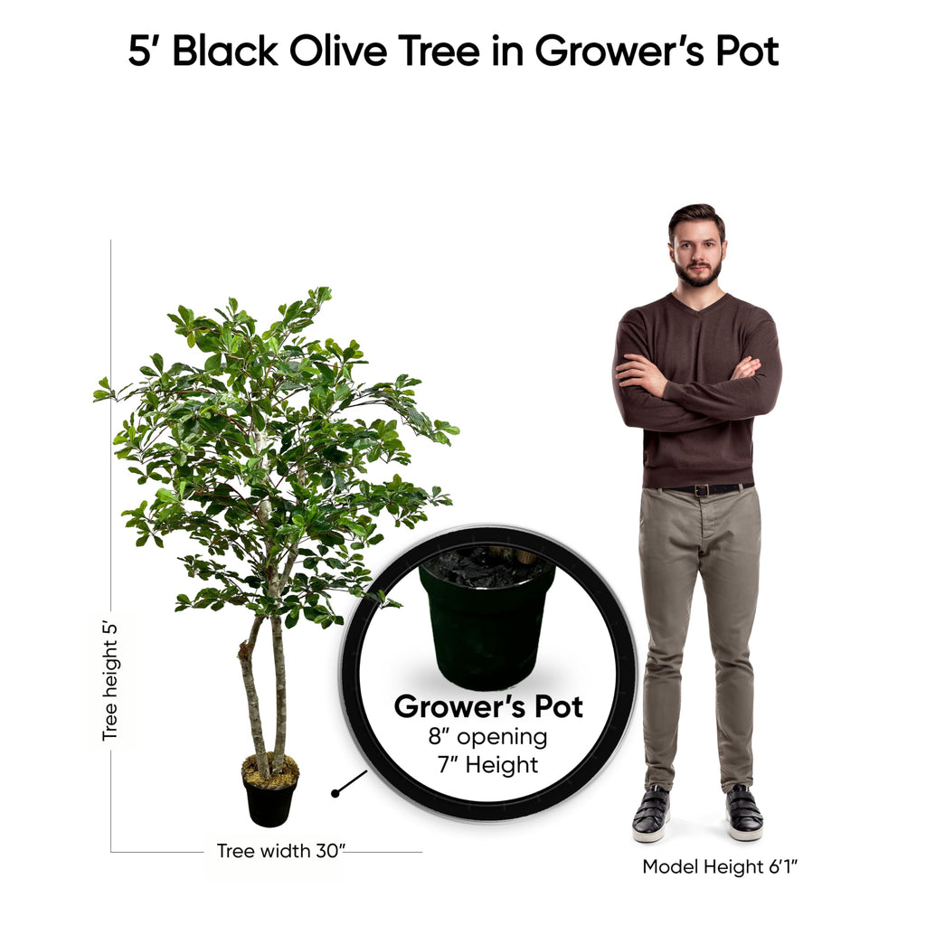 Handmade 5ft Italian Black Olive Artificial Tree with Ethically Sourced Real Wood Trunks, Hypoallergenic, 5-Foot