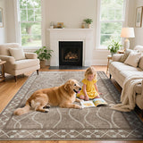 4x6 Washable Modern Area Rug, Low Pile Non-Slip Carpet for Entryway Office Bedroom